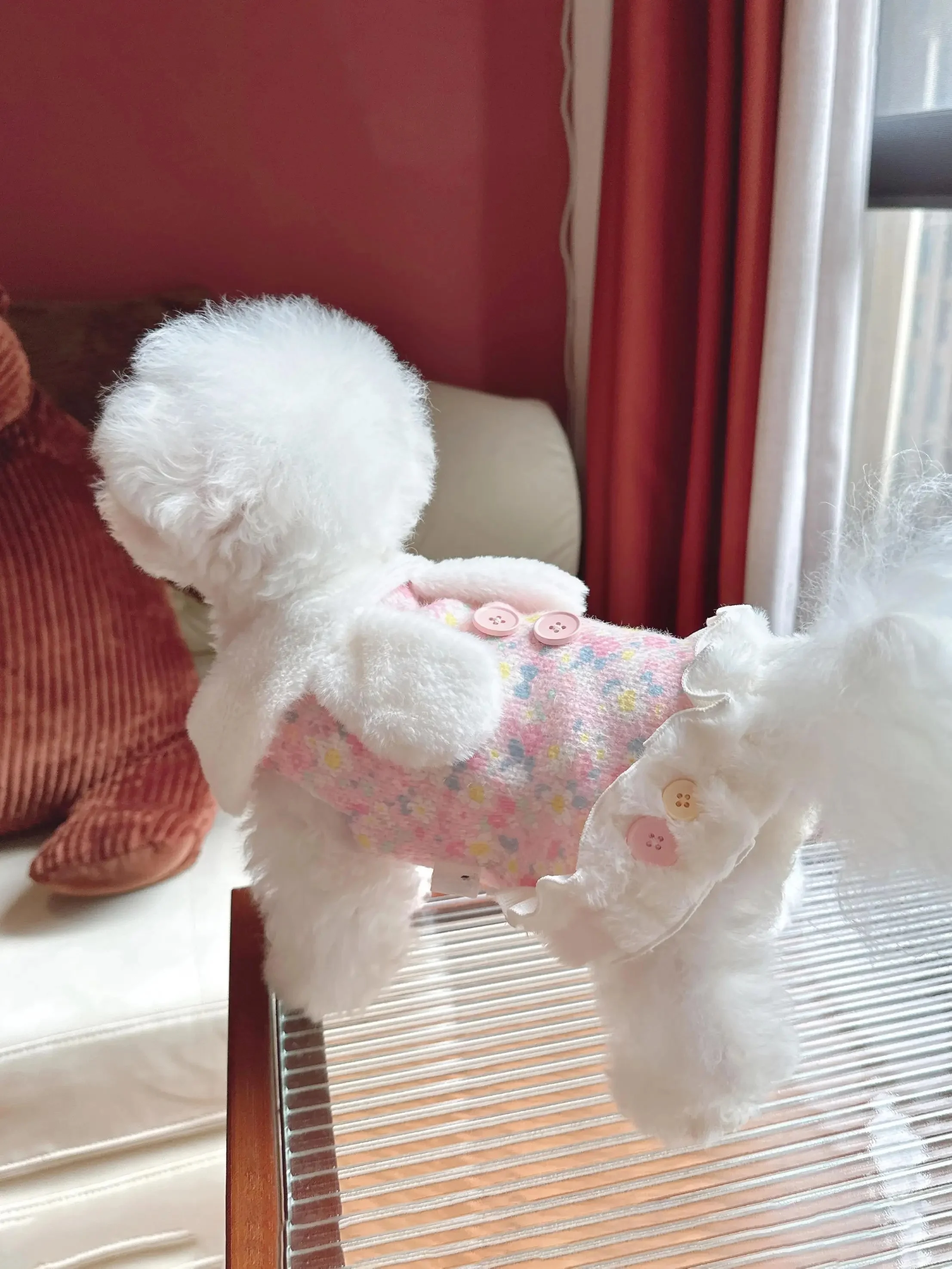 ペット服を自作する前に、この1着が本当に必要なのか？