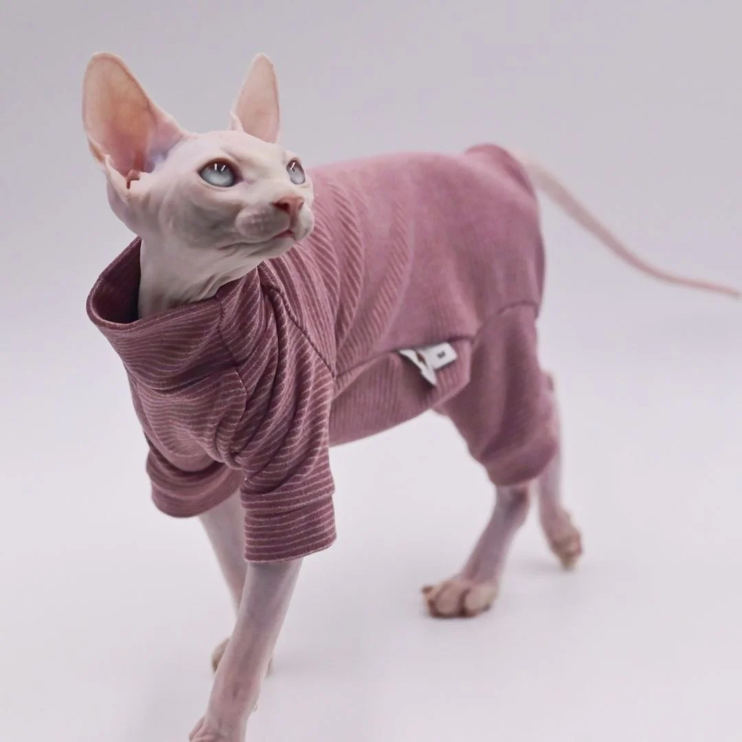 猫飼いが買ってよかったもの・悪かったもの正直に言う - スフィンクス猫用四脚エコファーオールインワンのサイズと特性