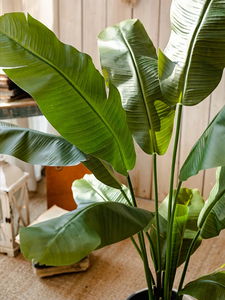 高級な人工バナナの葉グリーン植栽：リアルな造形で空間を彩るインテリアソリューション