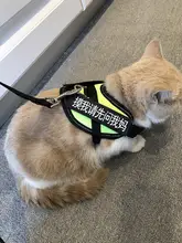 可調節の猫用牽引ロープ【かわいいベストスタイル・脱走防止】