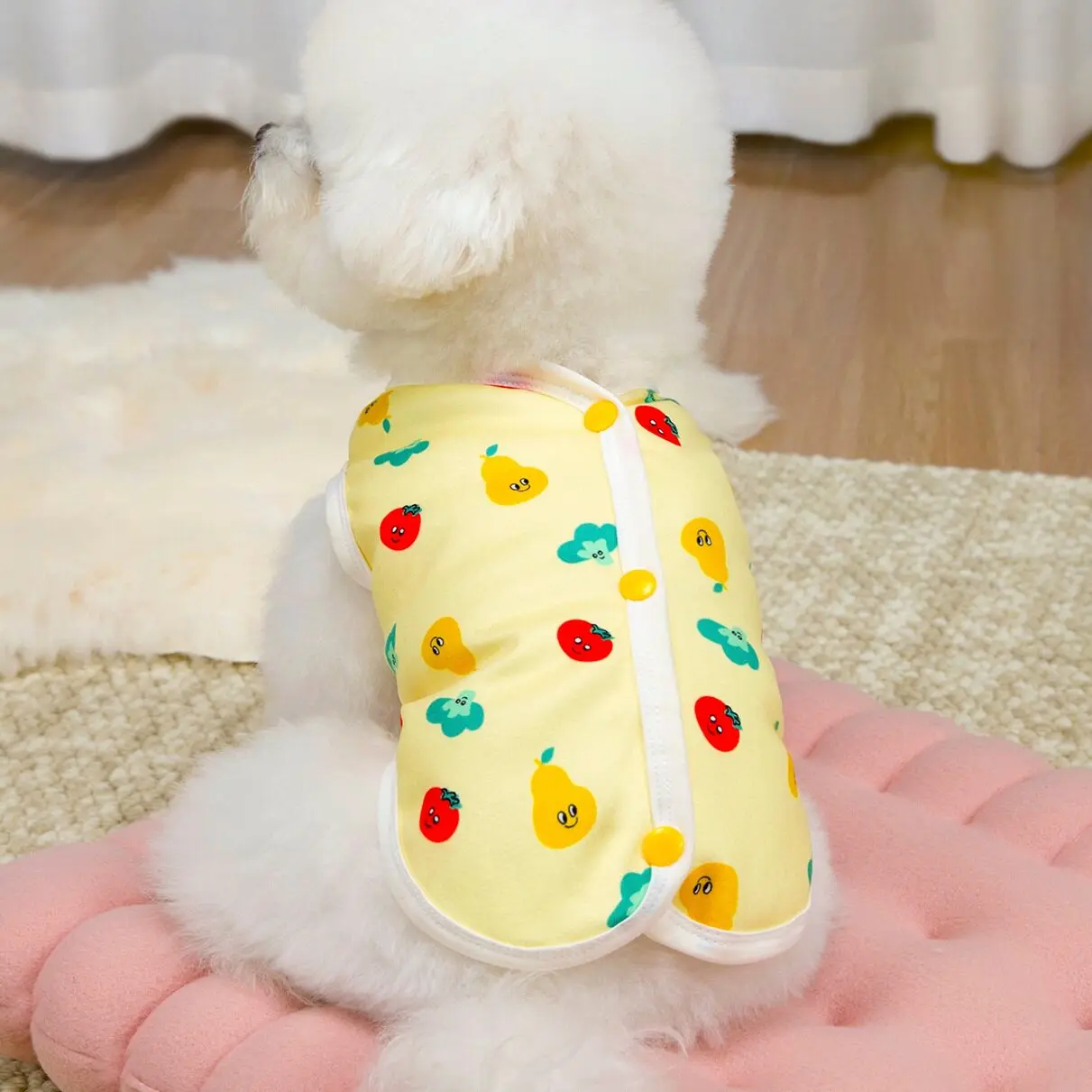 夏用小型犬用ベスト：通気性とデザインが室内飼いやすい犬の快適さを支える
