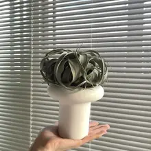 ローマキノコ飾り器【デザイナーズブランド・オリジナルセラミック・インテリアアクセサリー】