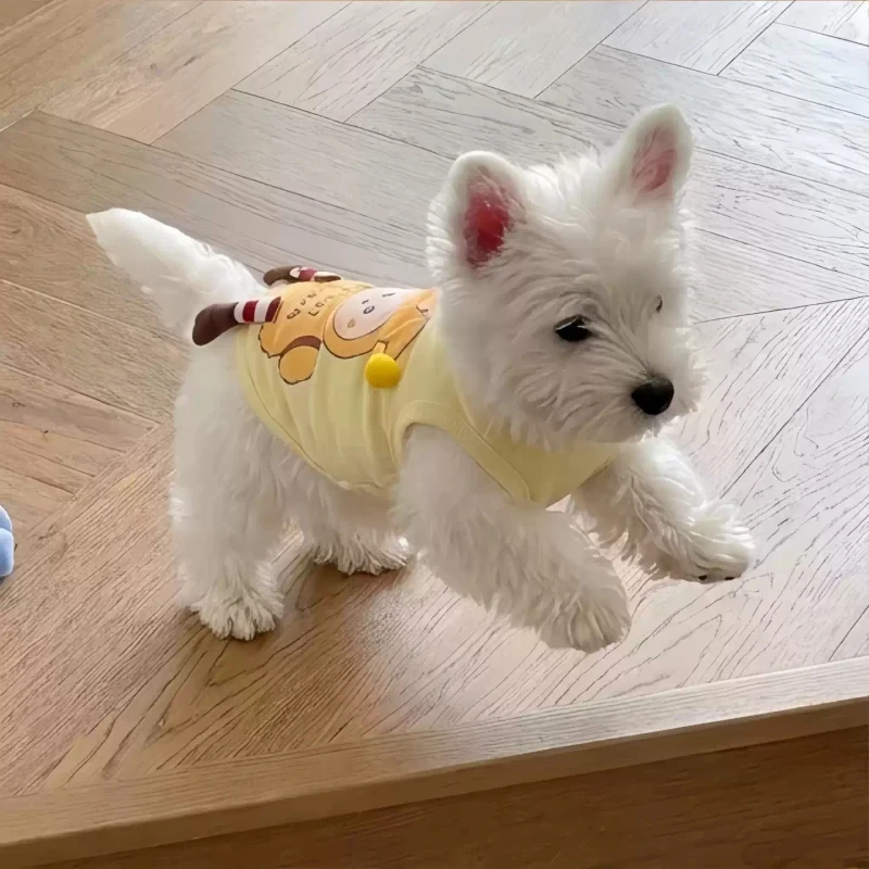 小型犬のハーネス選びで迷うなら、これで解決できる？