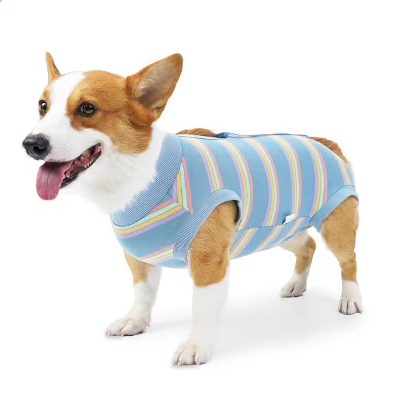 柴犬とコーギー用 犬服：手術後・防舔・全身カバーに最適な四脚衣の実用性解析