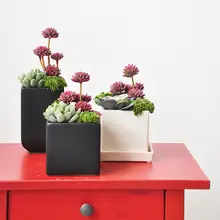 リアルな多肉植物の鉢 陶器鉢 装飾品 植物の置物