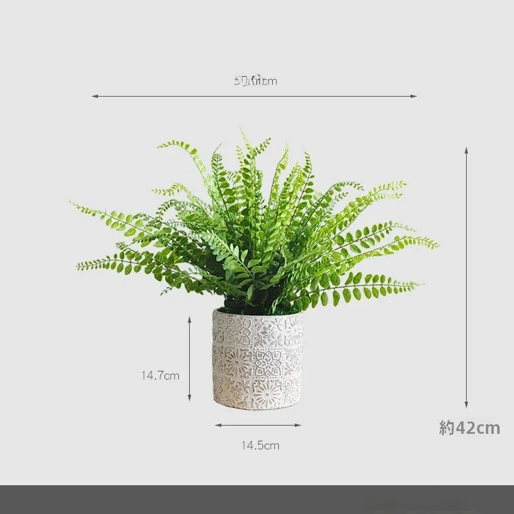 一人暮らし新生活をだけで揃えたら総額いくら？シダ植物風鉢の予算バランス徹底解説