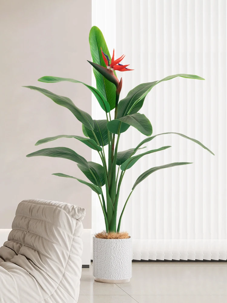 リビングに合う観葉植物の選び方：5選で暮らしの質を高める実践ノウハウ