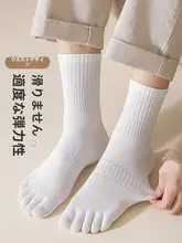 抗菌防臭機能付き メンズ五本指中筒靴下【春秋用・コットン製・大サイズ】