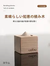 知育木製パズルブロック【脳トレ・解消・マジック道具】