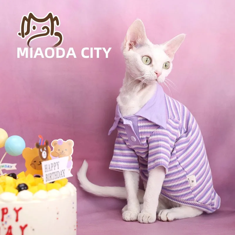猫カフェで着る衣装は、本当に「猫っぽい」もので決まるの？