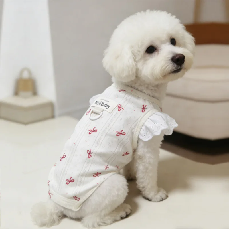 チワワにぴったりの春用犬服は、どう選ぶ？