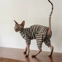 無毛猫用保護服【軽量・保温・デザインカットソー】