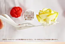 お菓子作り用 フラワーカッター【クリームフラワー用・転送ツール・花型クリッパー】