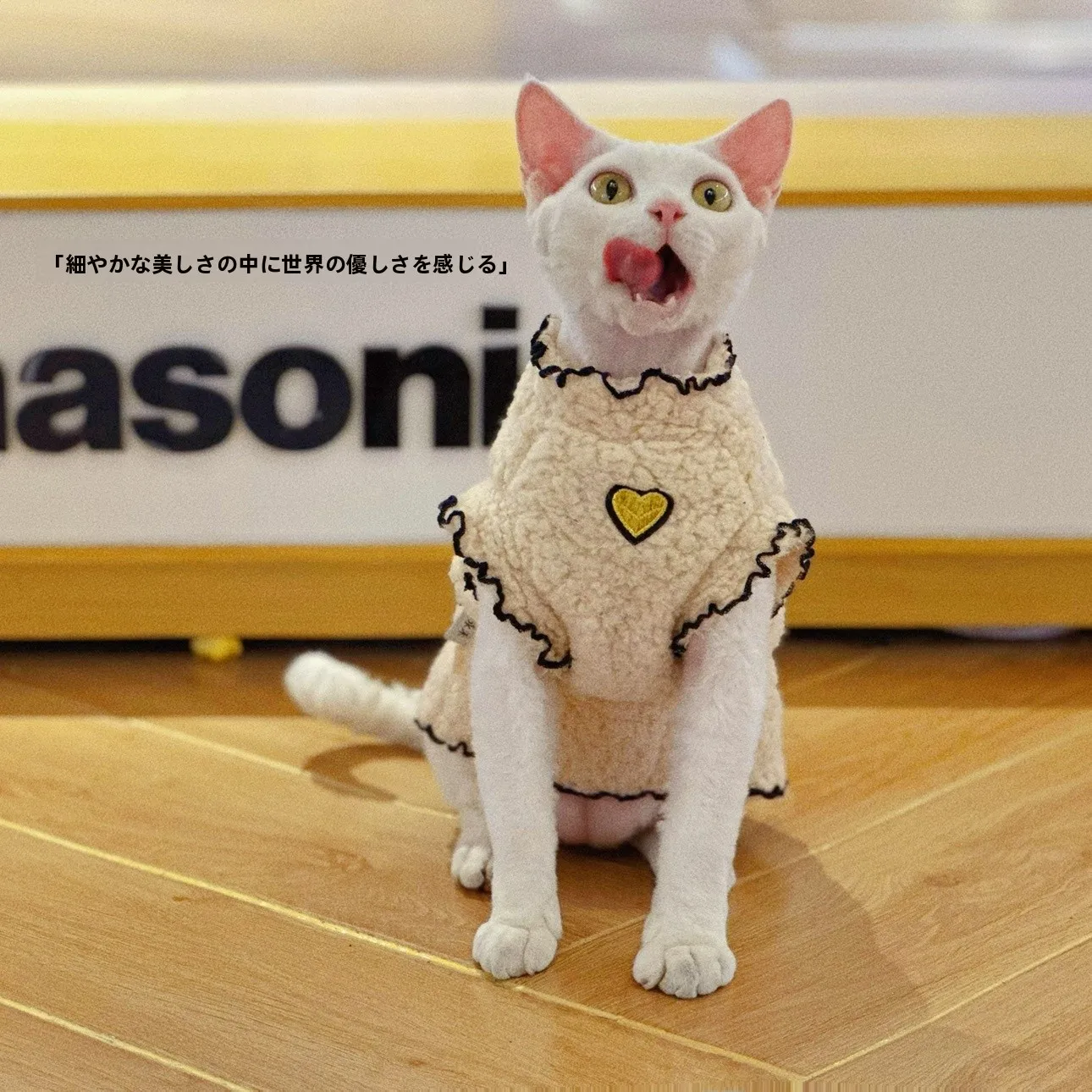白いダニとは何か？スフィンクス猫用冬用ウェアの実際の特徴と使用シーン