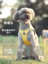 BORORO 犬用ハーネス付きリード【小型犬用・お散歩用・調節可能】