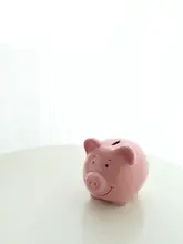 陶製 ペイシー豚貯金箱【かわいいピンク・インテリア装飾用】