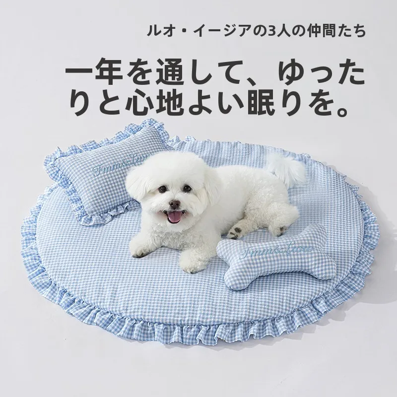 犬のお散歩グッズをコスパ良く揃える方法　サイズと素材の選び方を徹底解説