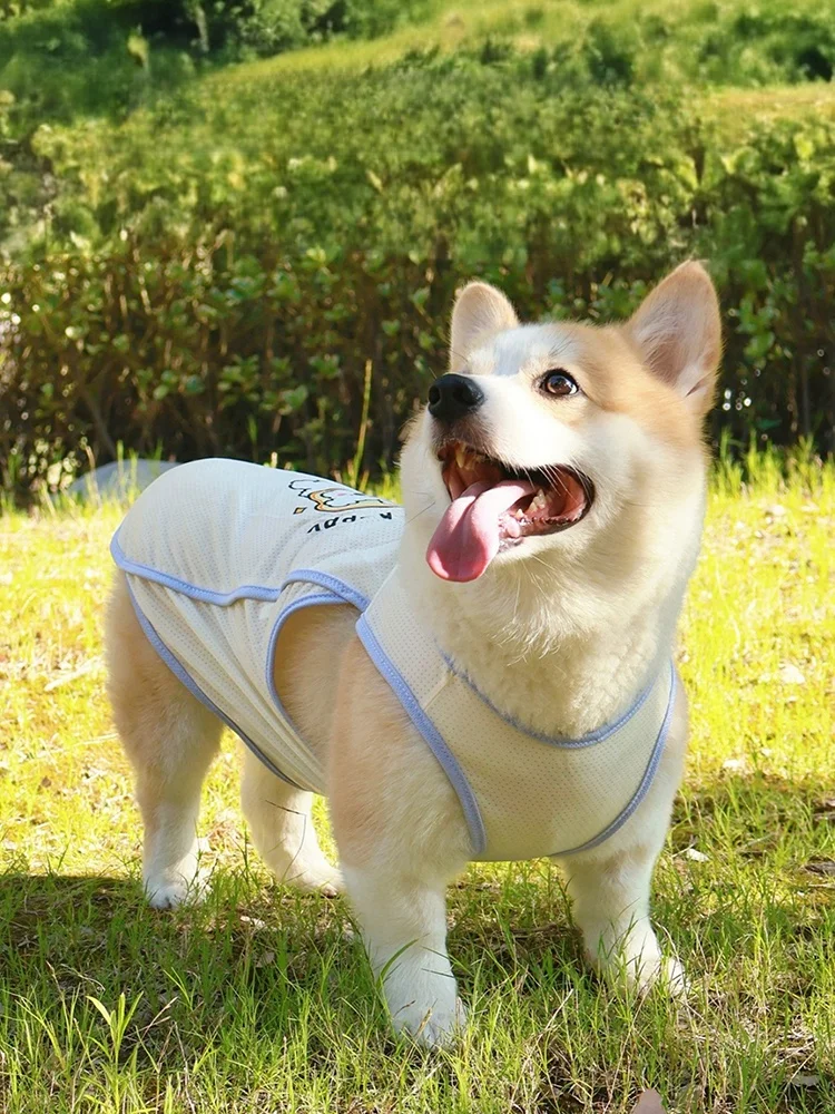 犬用夏用防紫外線ベスト：通気性と抜け毛防止の実用性を検証