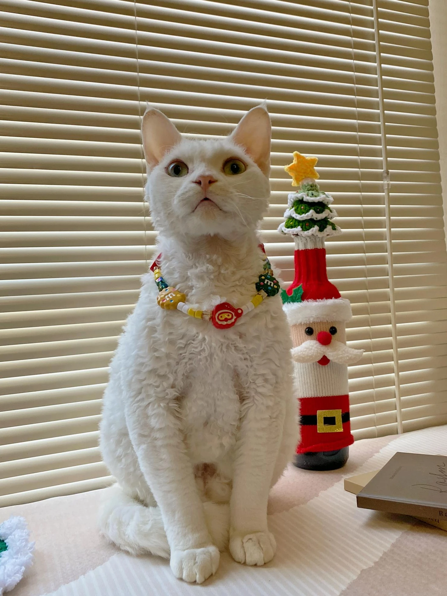 ペット用クリスマス雰囲気ネックレス：犬・猫・テディベア向けのフォトプロップスデザイン