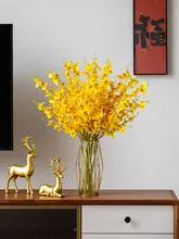 高級感ある透明ガラス花瓶【ドライフラワー・水耕栽培・リビングやダイニングの装飾用】