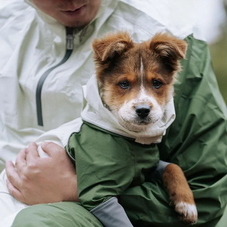 犬のお散歩グッズをコスパ良く揃える方法｜防水透湿レインコートの実際の使い方と選び方