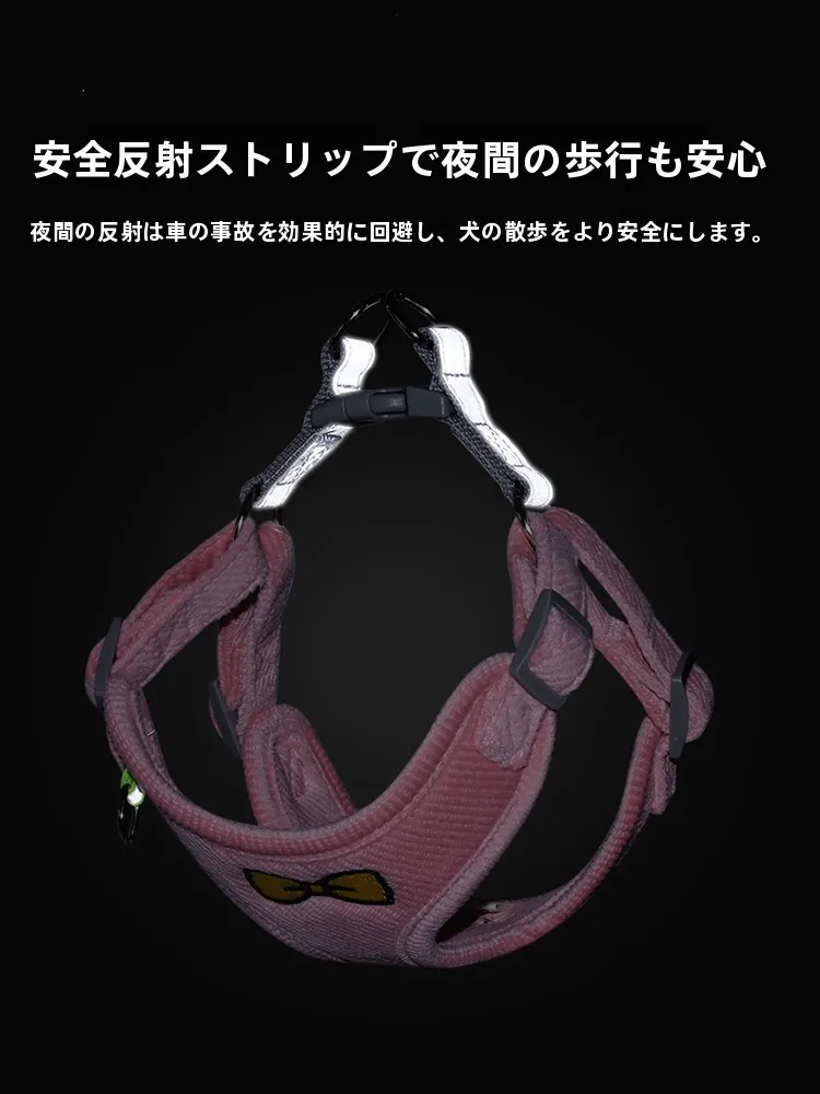 犬のお散歩グッズをコスパ良く揃える方法｜通気性とフィット感のバランスを徹底解説
