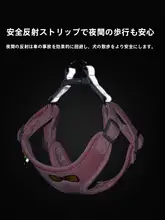 通気性抜群のハーネス式小型犬用リード【テディ・ビション・コーギー対応】