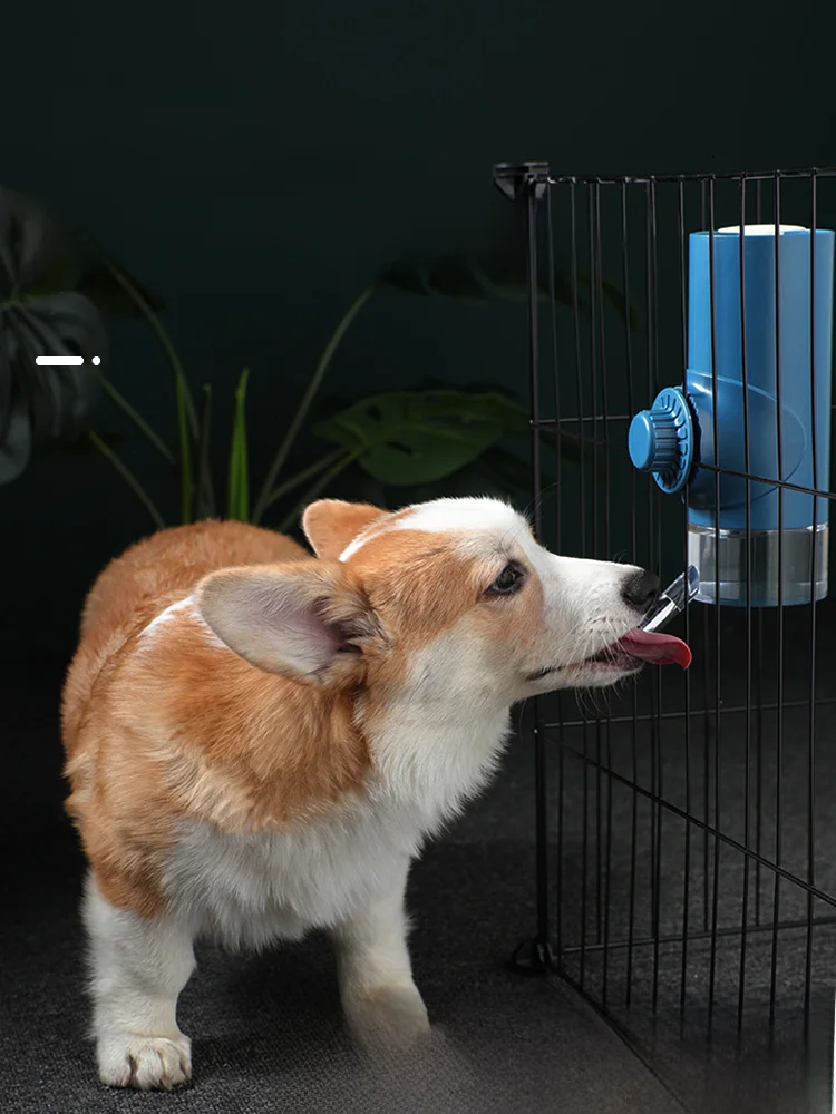 犬用給水器を選びながら、ペットボトルの悩みをどう解決する？