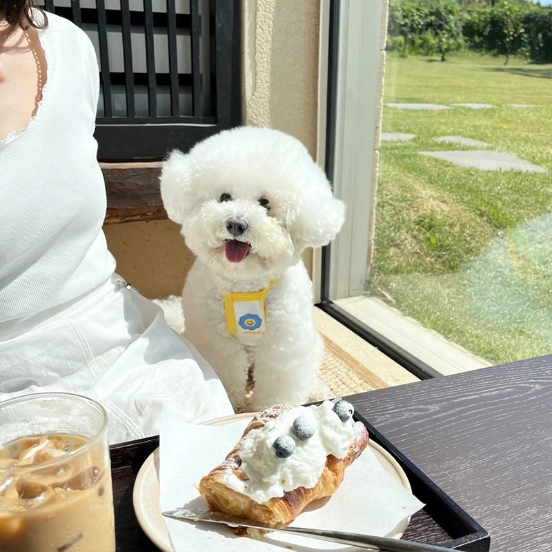 春夏立体蝶妖精空気サスペンダーペット服：通気性とデザインのバランスを実現