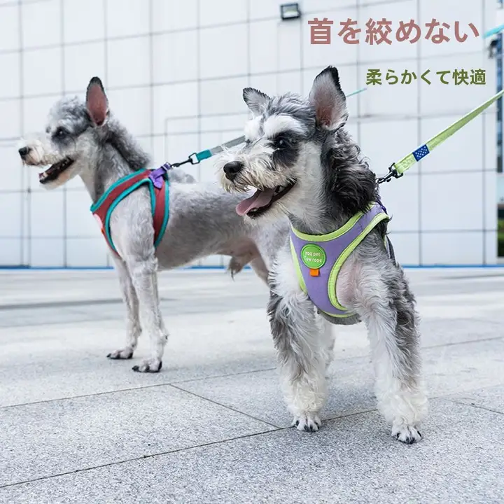 小型犬用牽引ハーネス【胴付けスタイル・伸縮タイプ・お出かけ用】