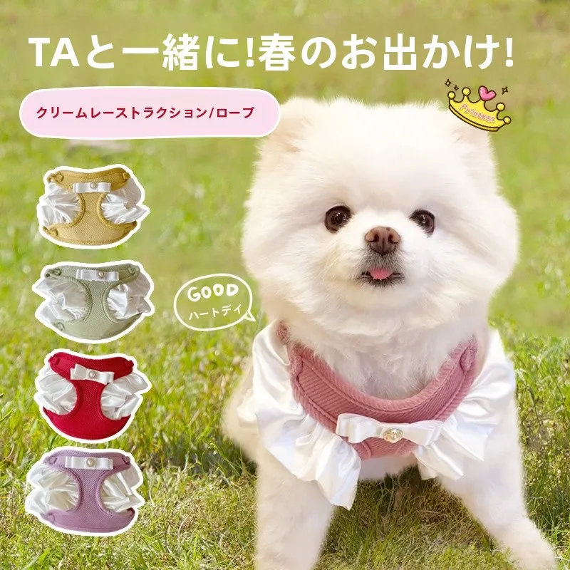 犬のお散歩グッズをコスパ良く揃える方法　完全ガイド