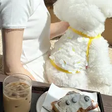 春夏立体蝶妖精空気サスペンダーペット服