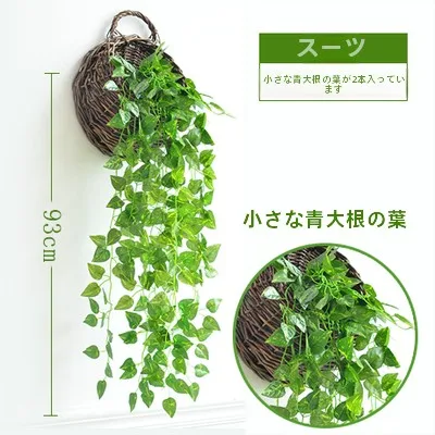 一人暮らし新生活をだけで揃えたら総額いくら？リアルな緑の存在感が心を癒す完全ガイド