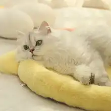 猫用小型枕【ペット用・ベッド・四季対応】