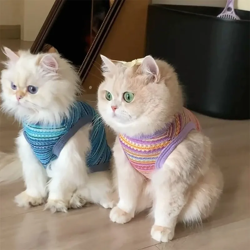 小動物の夏をもっと快適に！ペットウェア選びで迷うなら、この1点が解決する