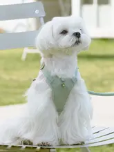 犬用ハーネス リード ベスト型 小型犬 愛犬 お散歩 ペット 「ARKIKA」