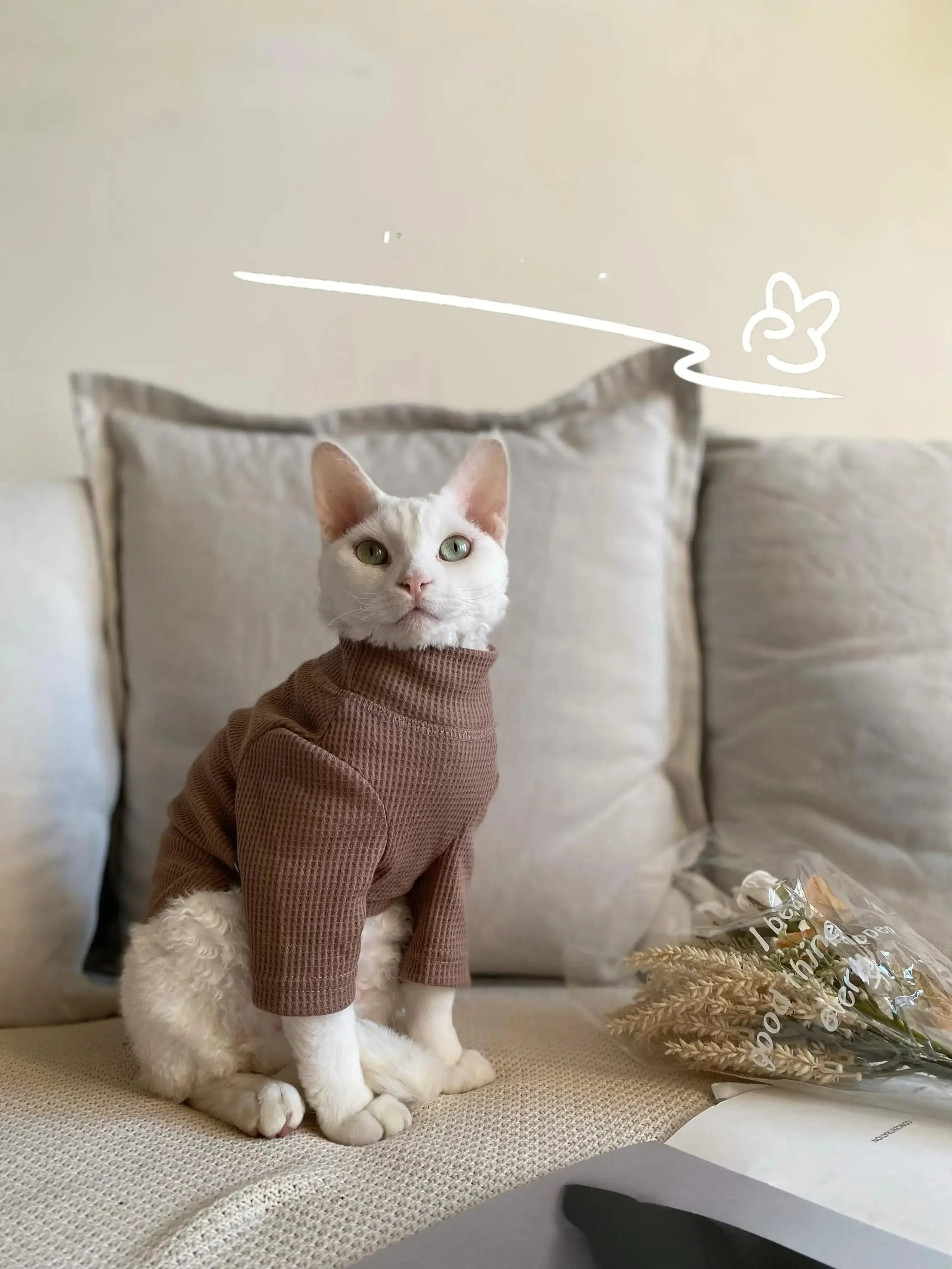 猫飼いが買ってよかったもの・悪かったもの正直に言う：春夏用スフィンクス猫用ワッフル生地のコットンTシャツ