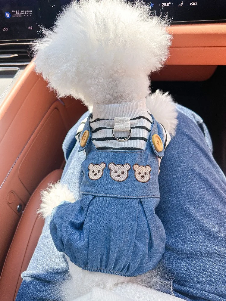 犬服ハーネス対応：PETCIRCLEのテディベアスタイル四脚タイプが実際の散歩シーンでどう活用されるか