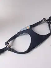 犬用 ハーネス付きリード【調整可能・小型犬用・かわいいデザイン】