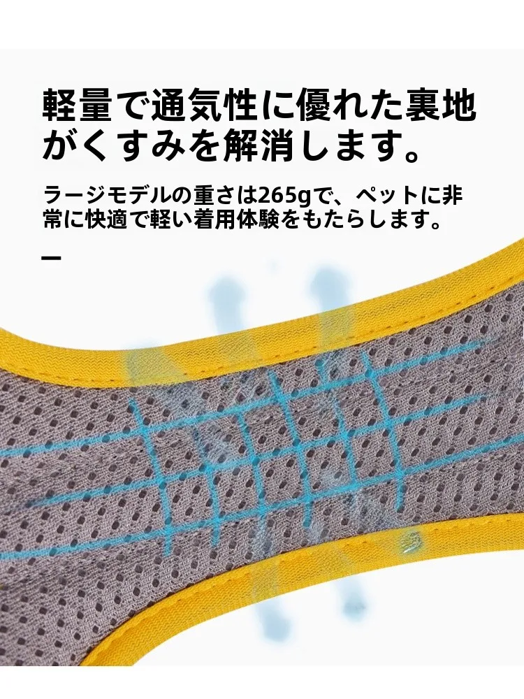 犬のお散歩グッズをコスパ良く揃える方法｜胸部ハーネスリードの実用性と安全性徹底解説