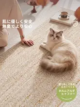 洗えるおしゃれなリビング用ラグ【猫の爪対策・こげ茶・北欧風・掃除が簡単】（セットアップ対応）