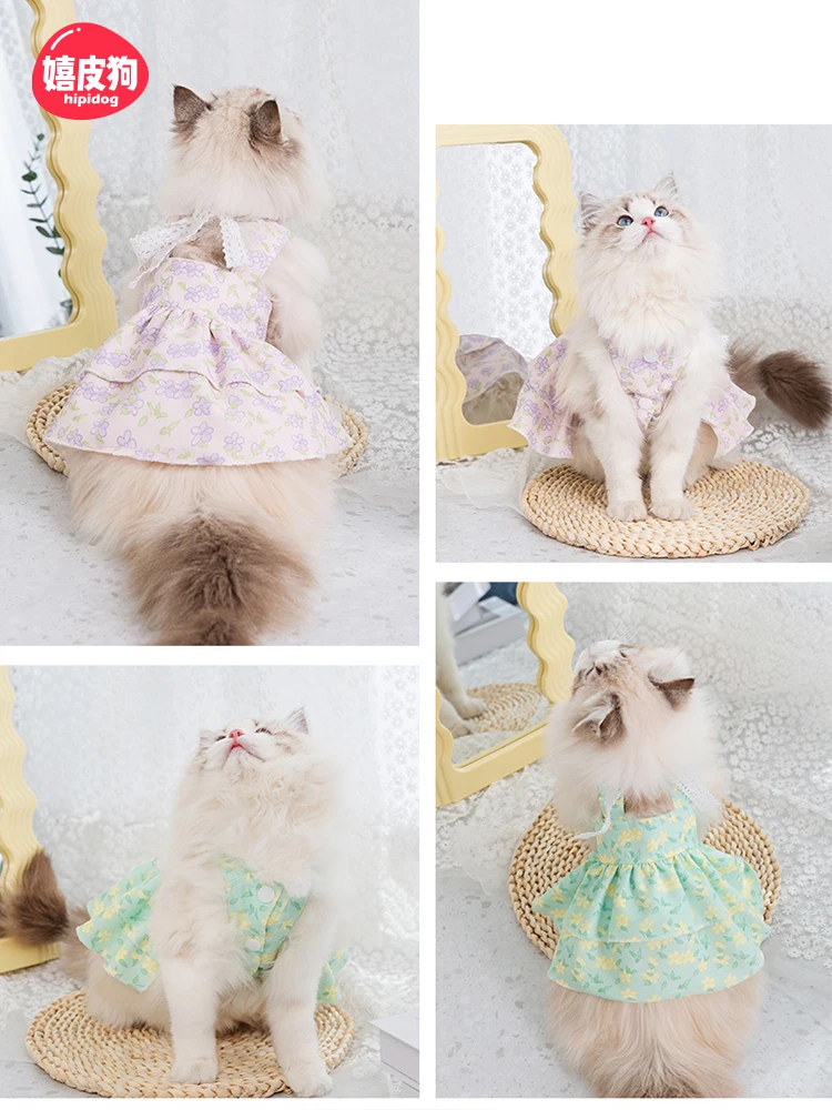 猫飼いが買ってよかったもの・悪かったもの正直に言う | 花柄レース付き子猫のドレスのサイズと通気性