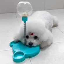 犬と猫の知育玩具スイングフードボール