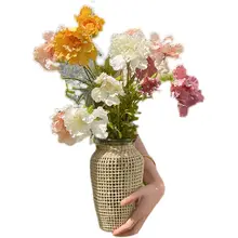 インレトロな模擬花車輪菊アート