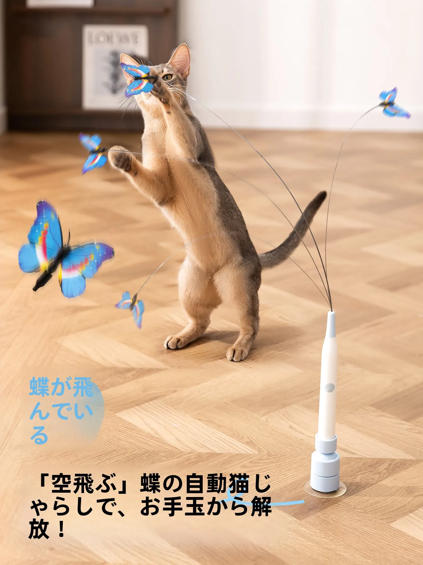くすぐり機械とは？5選で解き放つ猫との日常のハーモニー