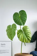 大型単枝の亀背葉の造花【ディスプレイ用・インテリア装飾・熱帯風】