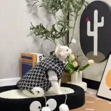 スフィンクス用 冬季厚手コート【暖かい棉素材・スタイリッシュなベスト】