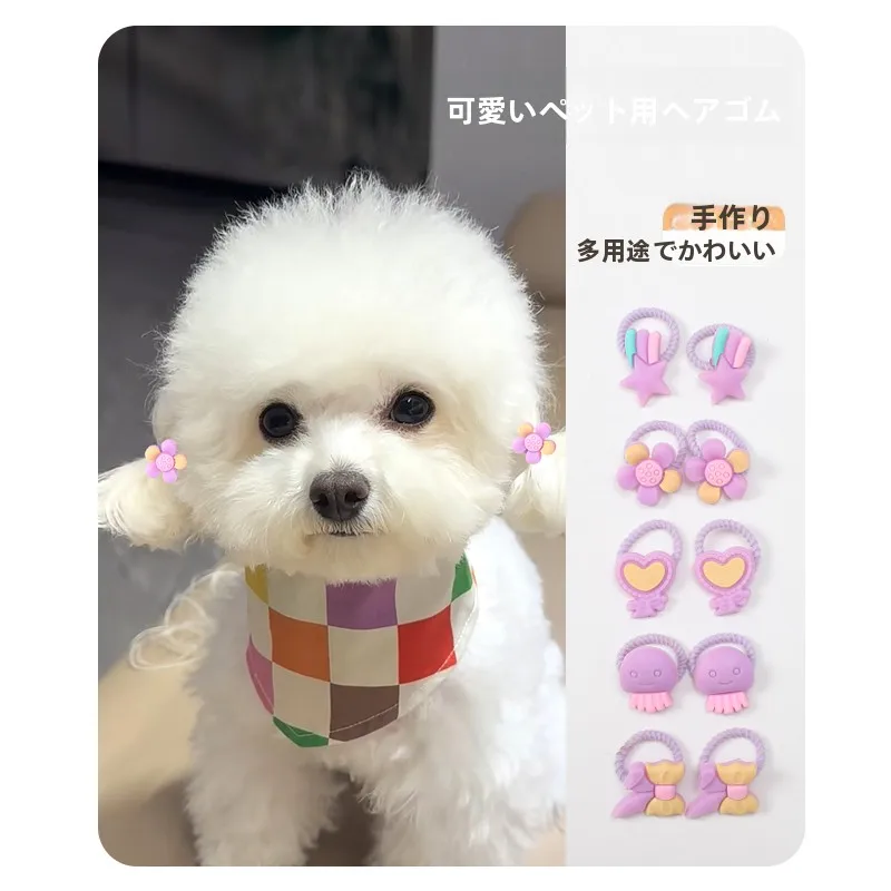 ペット形見アクセサリーの選び方とは？4選で自宅の暮らしに溶け込むリアルな使い方を解説