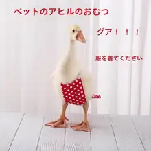洗えるおむつカバー 大型用【白鹅绒・防水・ペット対応】（セットアップ対応）