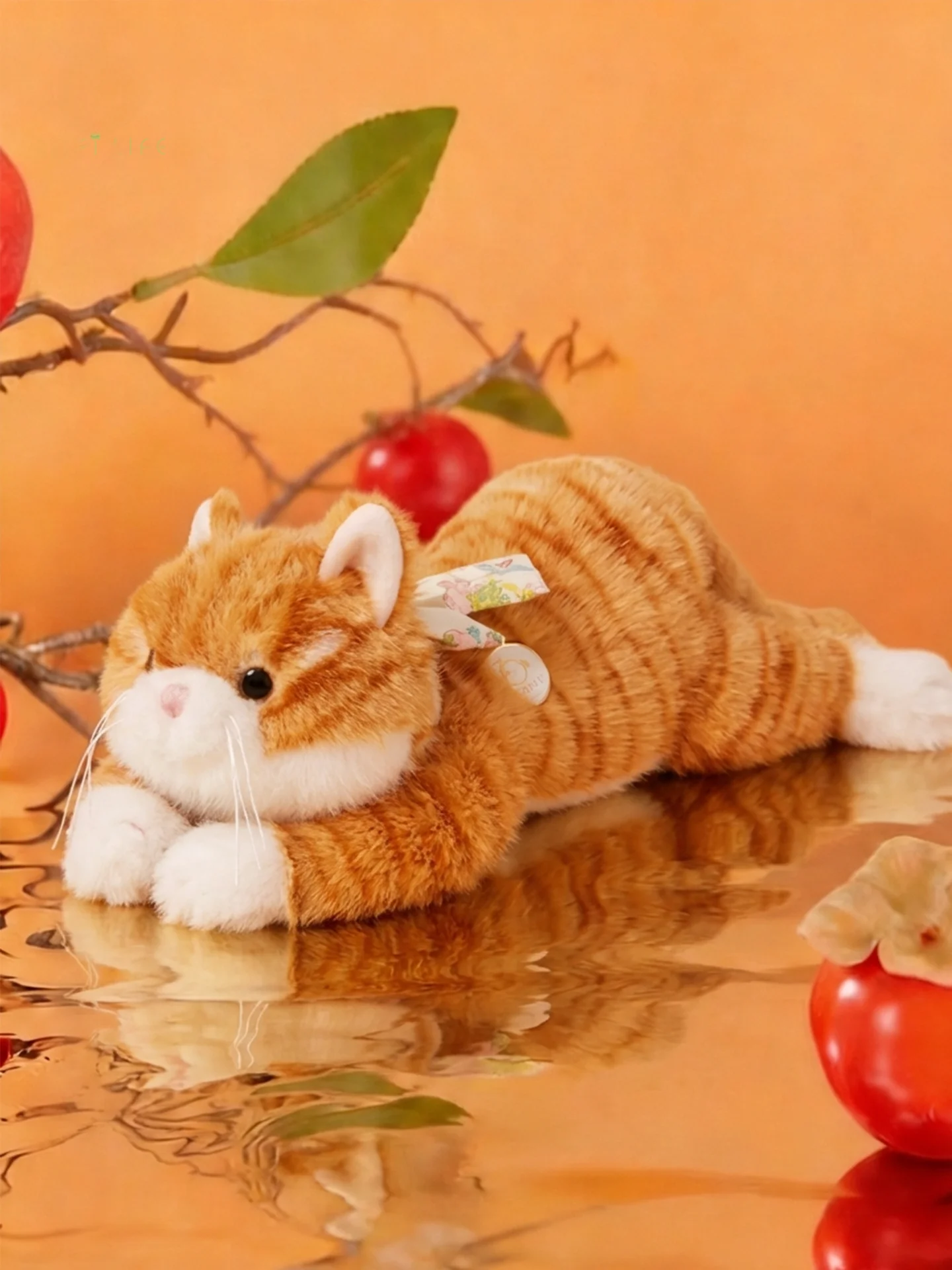 クレヨンキャットとハッピーキャットの違いは？オレンジキャットが本当に「ハッピーキャット」なのか？